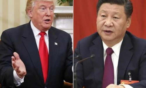 金光头草药作用-金光头的功效与作用网 - 金光头药名叫什么,金光头有何功效