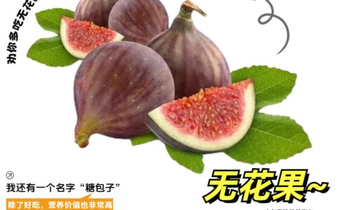 金光头的功效与作用及禁忌-金光头的功效与作用网 - 金光头药名叫什么,金光头有何功效