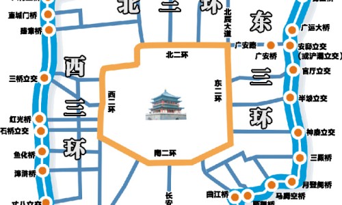 中草药金光头的功效-金光头的功效与作用网 - 金光头药名叫什么,金光头有何功效